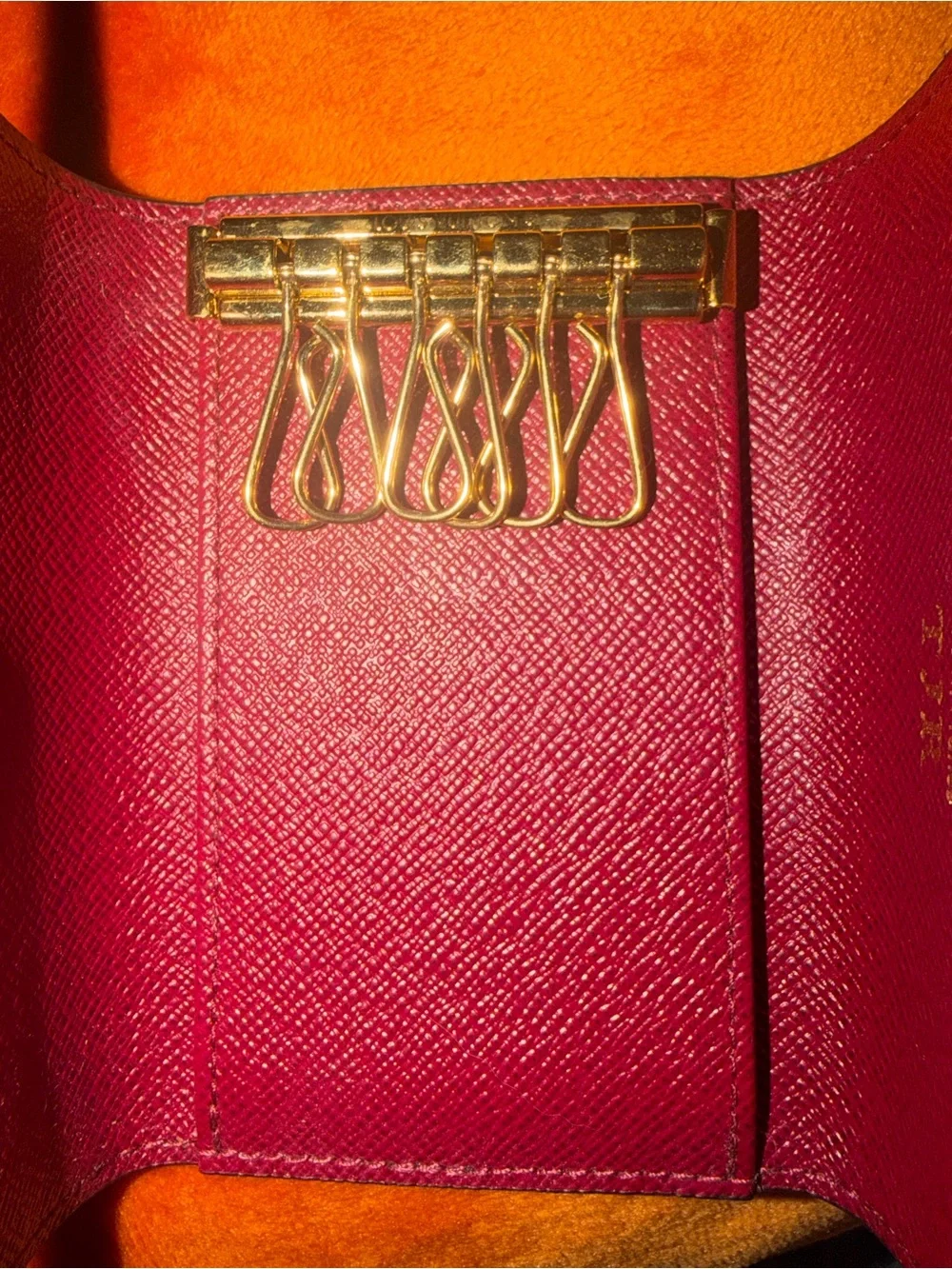 Louis Vuitton authentic louis